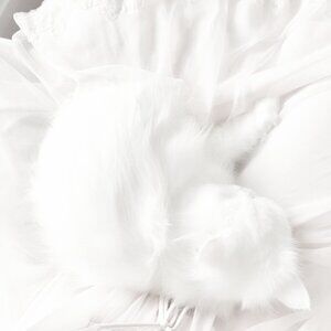 𐙚𝓜𝓮𝓮𝓽 𝔂𝓸𝓾𝓻 𝓟𝓸𝓼𝓱𝓮𝓻, 𝓜𝓲𝓵𝓬𝓱𝓲𐙚